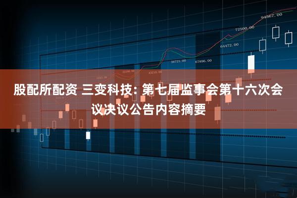 股配所配资 三变科技: 第七届监事会第十六次会议决议公告内容摘要