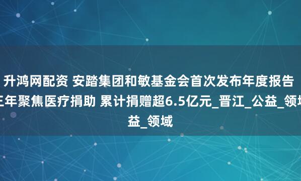 升鸿网配资 安踏集团和敏基金会首次发布年度报告 三年聚焦医疗捐助 累计捐赠超6.5亿元_晋江_公益_领域
